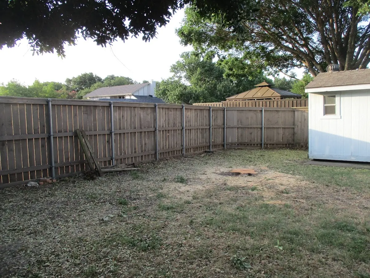 Cleared yard after professional tree removal in Chester Springs
