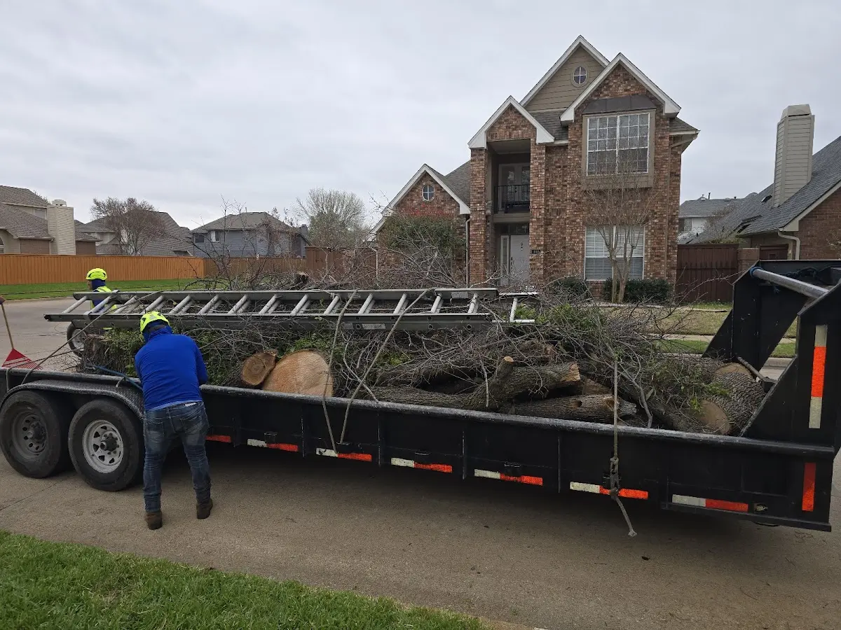 Expert Tree Pest Control with proper safety equipment in Chester Springs